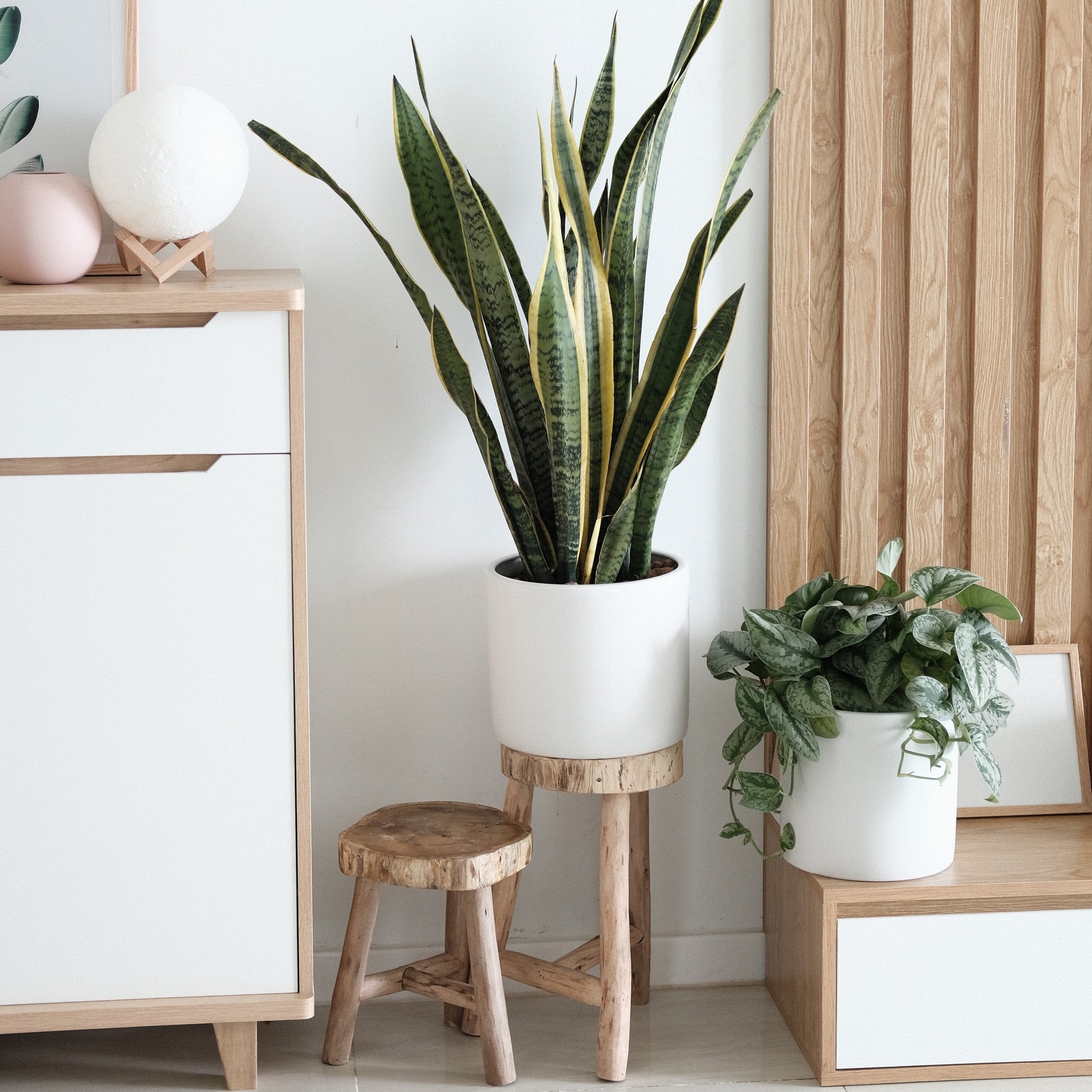 This image for Image Layouts addon