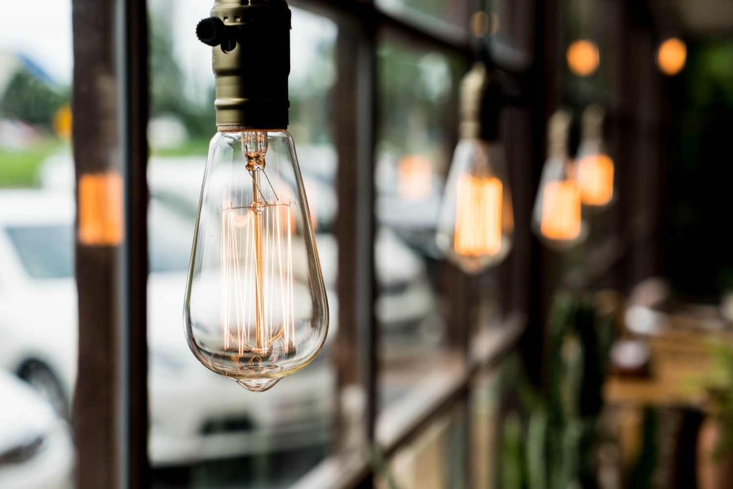 ollyo campus decoration