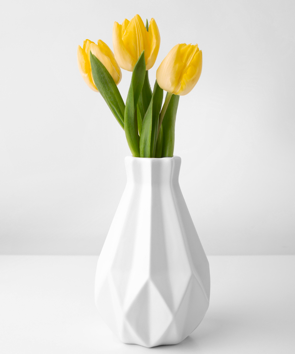 yellow tulips